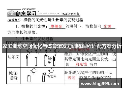 家庭训练空间优化与体育爆发力训练课程适配方案分析